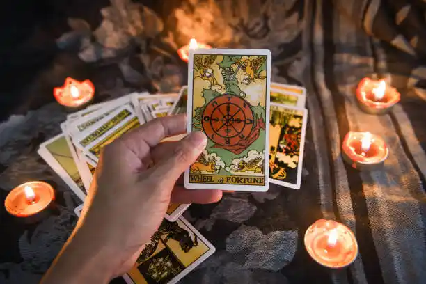 tarot cards Qulin